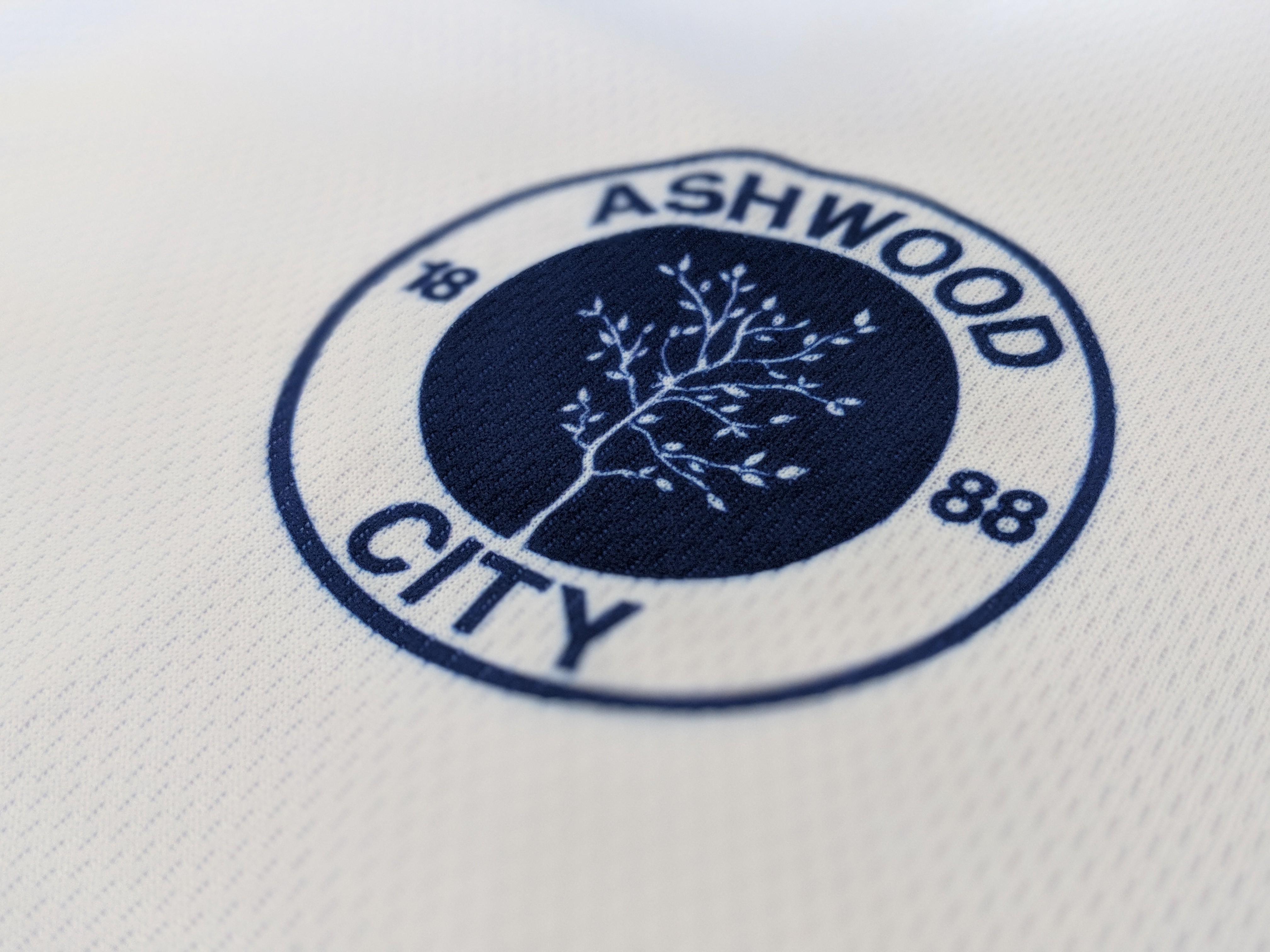 Ashwood City – The Epitome of Modern Football